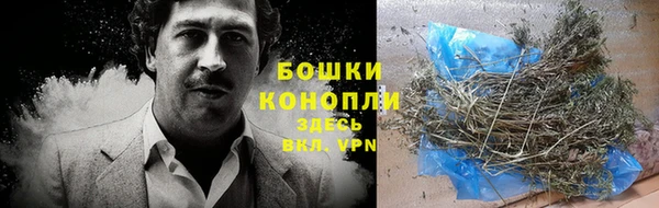 круглые Пересвет