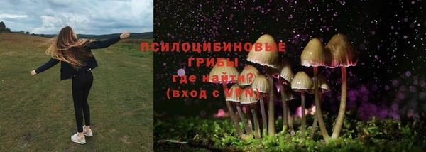 соль ск Алексин