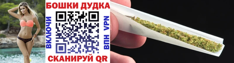 Бошки Шишки план Заволжск